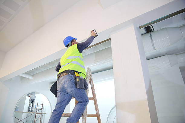 Best Drywall Installation  in Rochester, WI